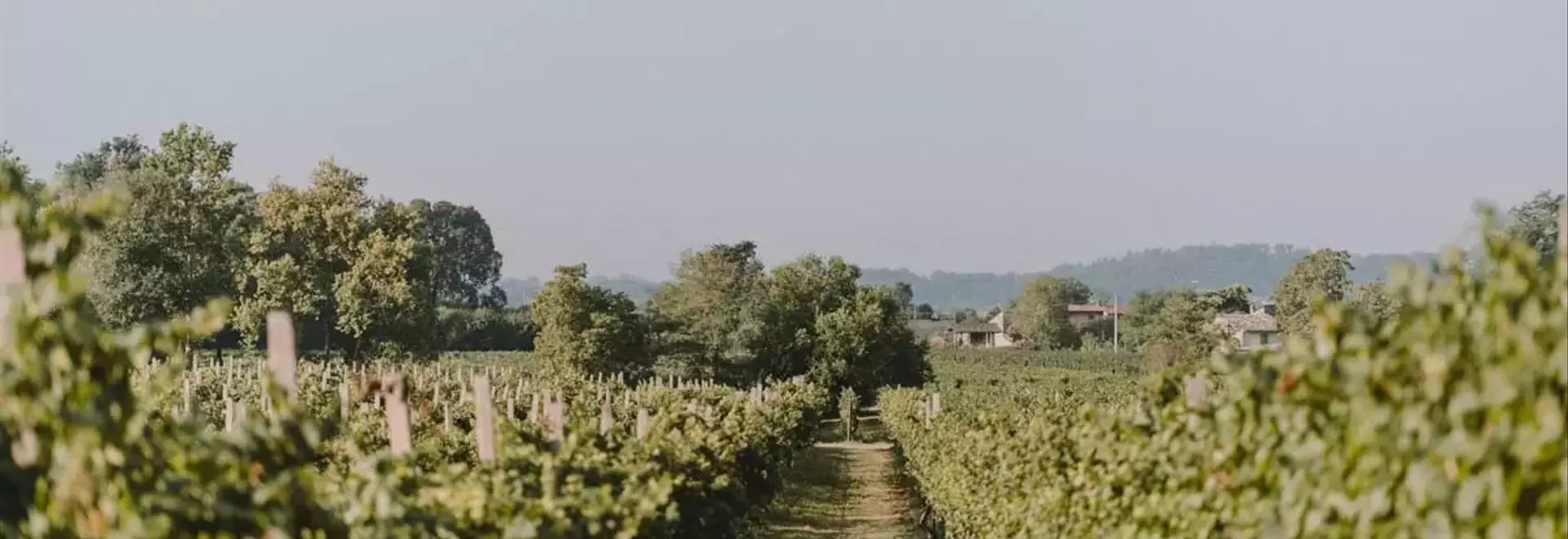 Corte Pravecchio: Fusione di Storia, Natura e Design Danese in un Agriturismo di Lusso Semplice