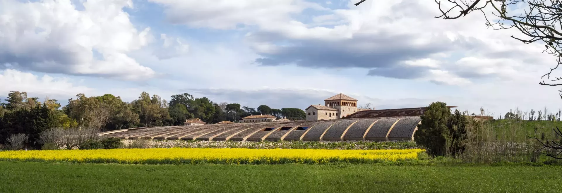 L'Armonia Enologica: Il Celler Perelada di RCR Arquitectes a Girona