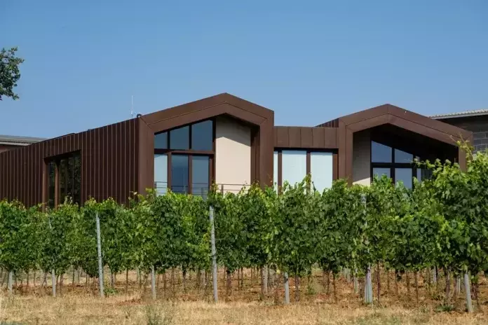 Integrazione Paesaggistica e Innovazione Architettonica: Il Progetto dell'Azienda Agricola Vessichelli Cosimo