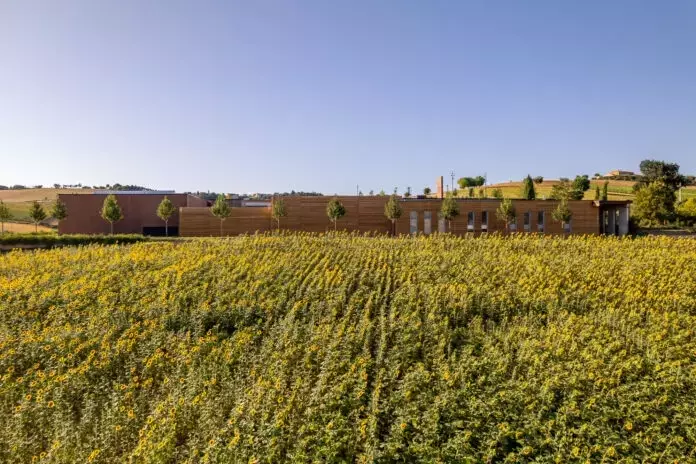 L'Armonia tra Architettura e Natura: L'Ampliamento del Pastificio Agricolo Mancini firmato Stefano Boeri Architetti