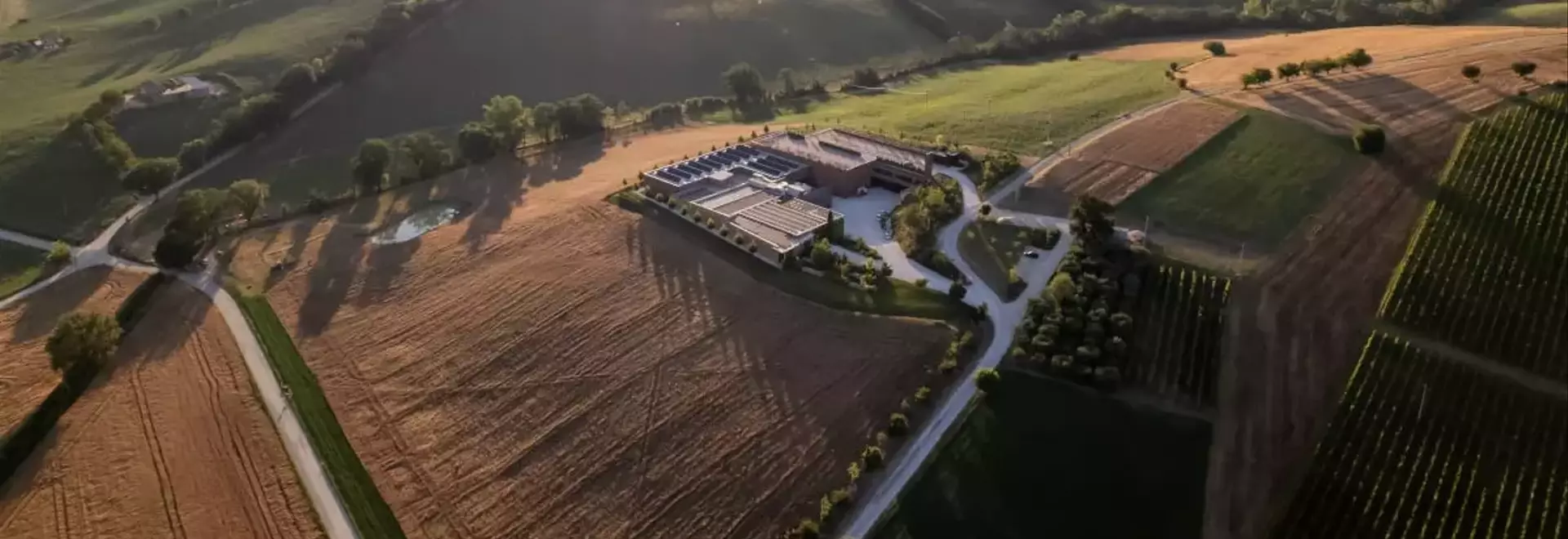 L'Armonia tra Natura e Architettura: L'Espansione del Pastificio Mancini