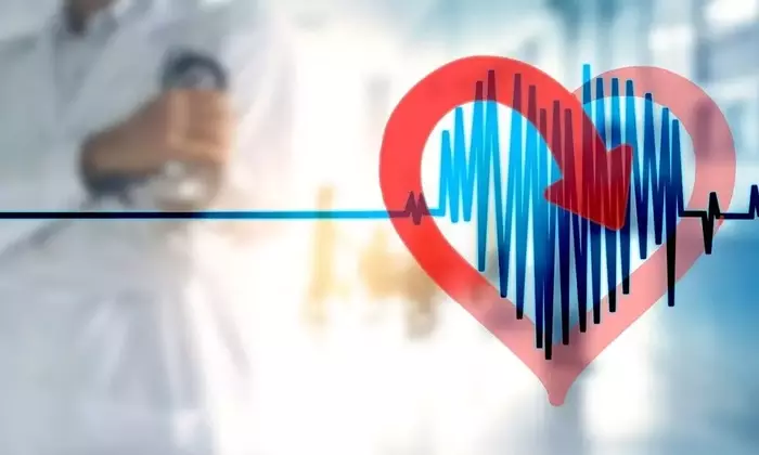 Understanding Antihypertensive Medications: A Comprehensive Scientific Overview