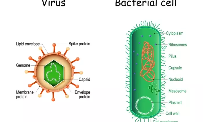 Understanding Antibiotic Medications: A Comprehensive Scientific Overview