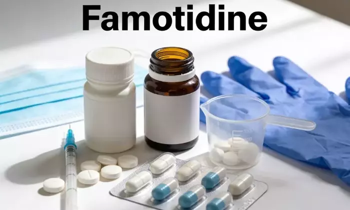 Famotidine: A Technical and Pharmacological Overview
