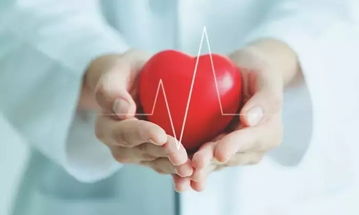 The Science of Dietary Impact on General Health: A Systematic Overview