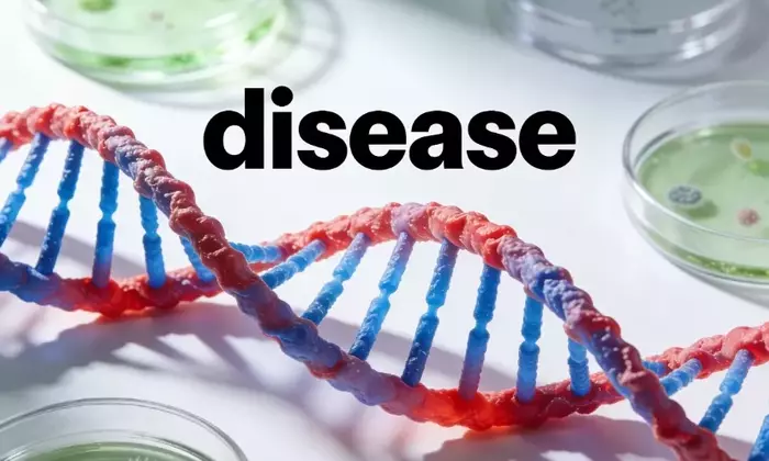 Understanding Osteoarthritis: A Physiological and Clinical Overview