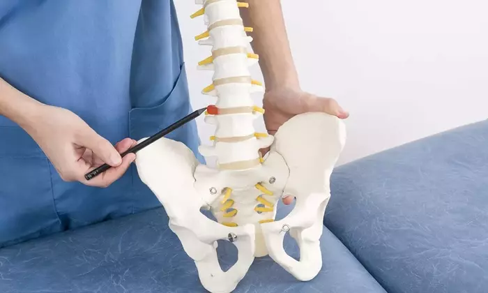 Clinical Perspectives on Lumbar Disc Herniation: A Scientific Overview