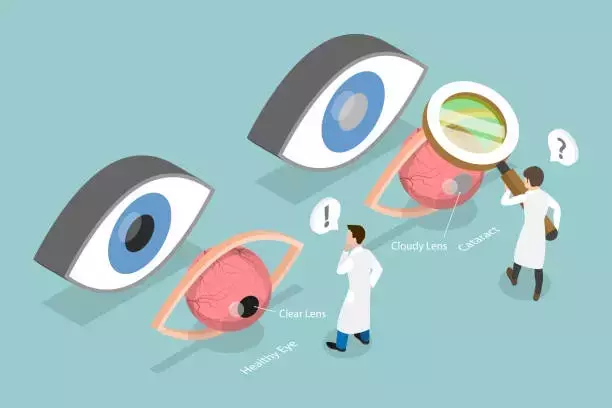 Macular Disease: A Technical and Clinical Overview