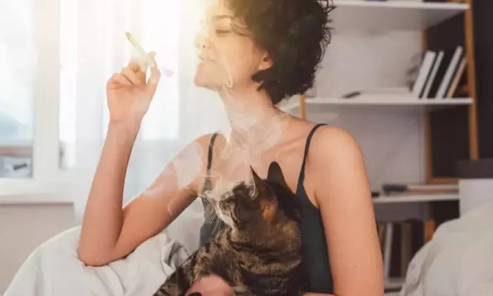 Gli Effetti Nocivi del Fumo Passivo sugli Animali Domestici