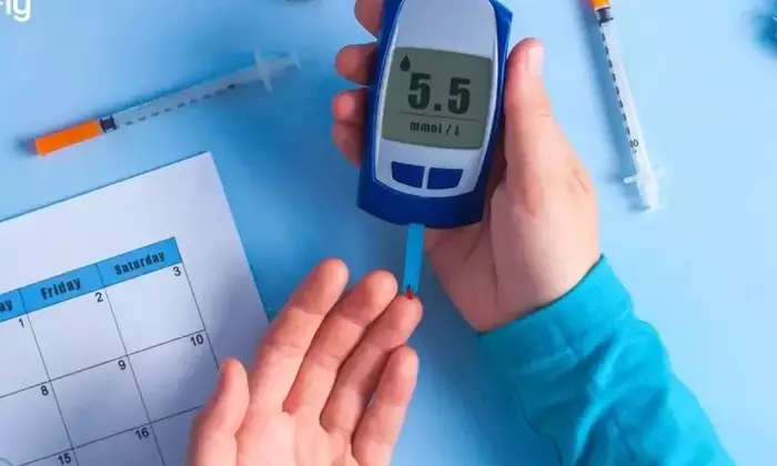 Diabetes Management: A Scientific Overview of Principles, Mechanisms, and Monitoring