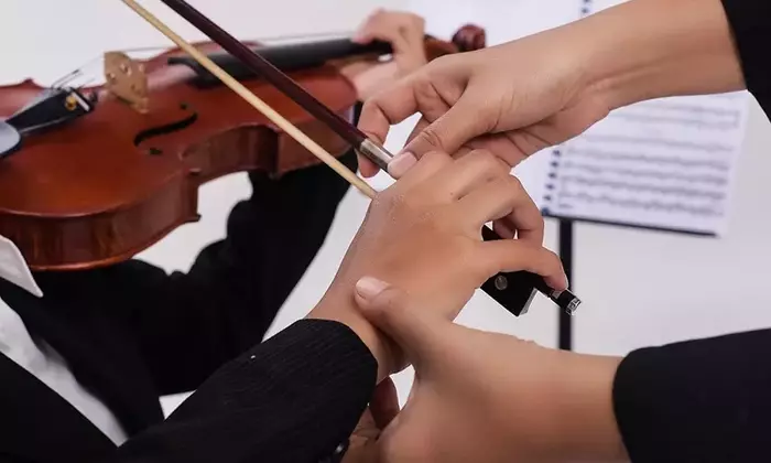 Violin Training: Concepts, Techniques, Pedagogy, and Perspectives