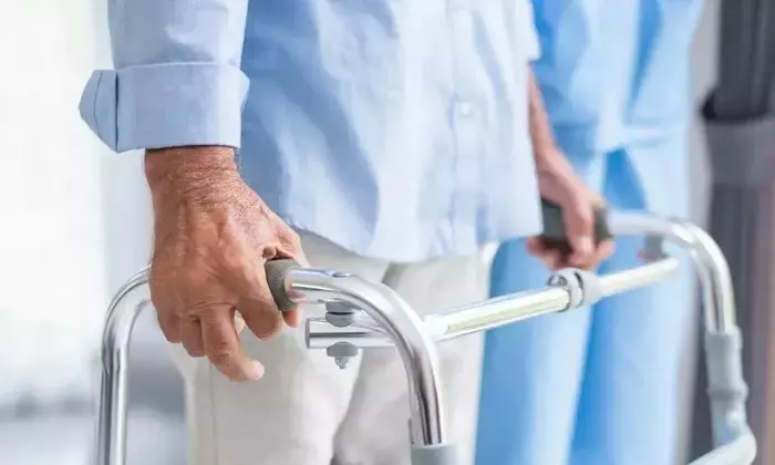 Multiple Sclerosis: Pathophysiology, Clinical Features, and Contemporary Understanding