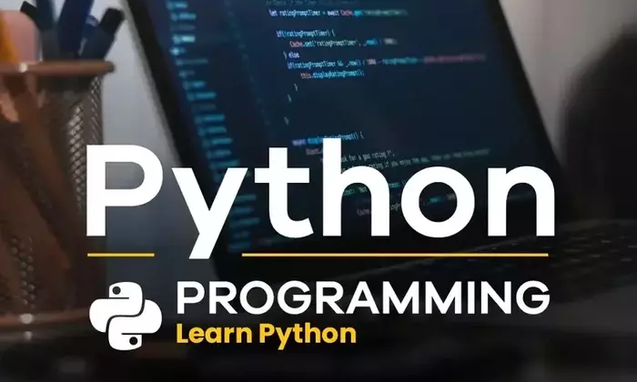 Python Development Training: Structure, Learning Mechanisms, and Industry Context