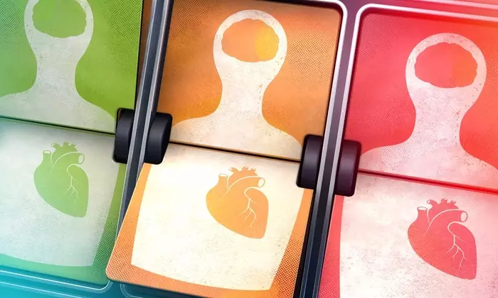 Cardiovascular Risk Assessment: A Neutral Scientific Overview of Principles, Models