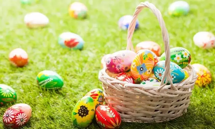 Anti-Allergy Medications: Scientific Overview of Types, Mechanisms, and Medical Context