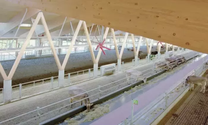 Architetture Protettive: Un Dialogo tra Arketipo e l'Ordine degli Architetti di Milano