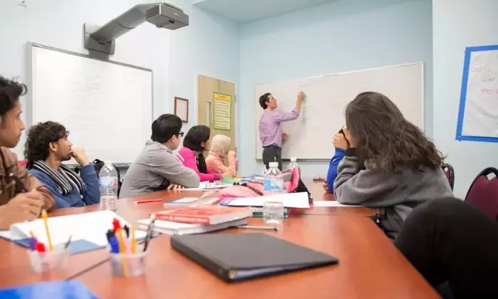 IELTS Preparation Training: Test Structure, Skill Development, and Assessment Frameworks