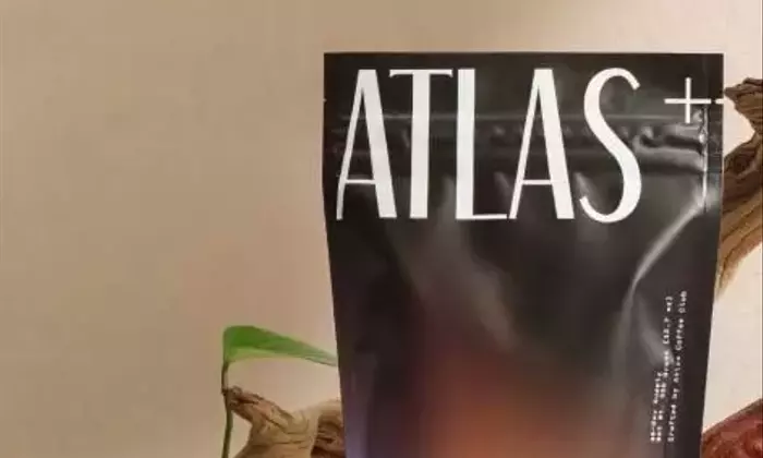 The Ultimate Guide to Mushroom Coffee: Top Brands & Flavor Reviews