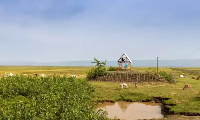 Khudi Bari: Architetture Resilienti di Marina Tabassum in Bangladesh