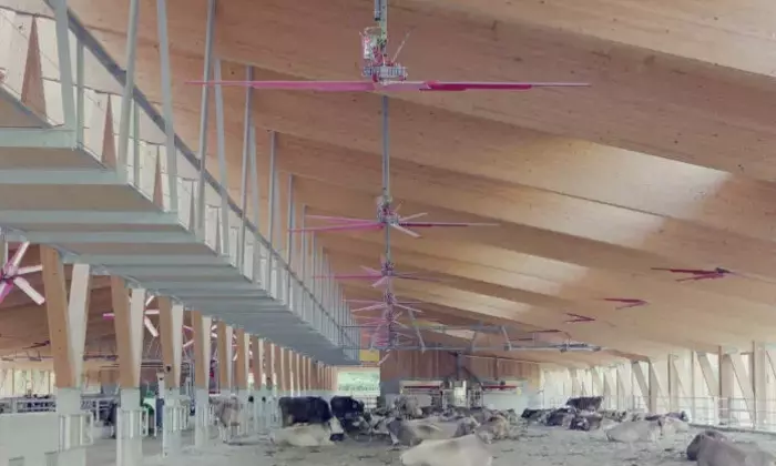 Stalla Contemporanea: Benessere Animale e Architettura Innovativa a Mantello (SO)