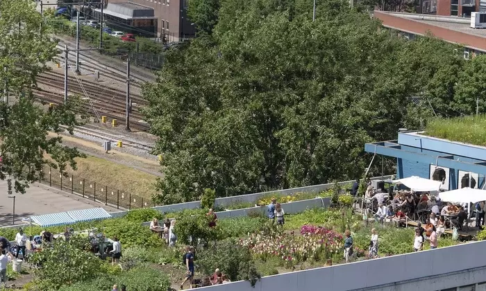Rotterdam: I Tetti del Futuro, una Visione Urbana Inclusiva e Sostenibile