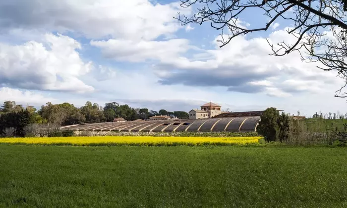 L'Armonia Enologica: Il Celler Perelada di RCR Arquitectes a Girona