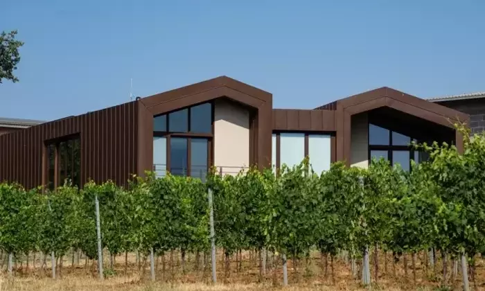 Integrazione Paesaggistica e Innovazione Architettonica: Il Progetto dell'Azienda Agricola Vessichelli Cosimo