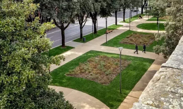 Riqualificazione dei Giardini di Viale Michelangelo ad Arezzo: Un Ponte Verde tra Storia e Modernità