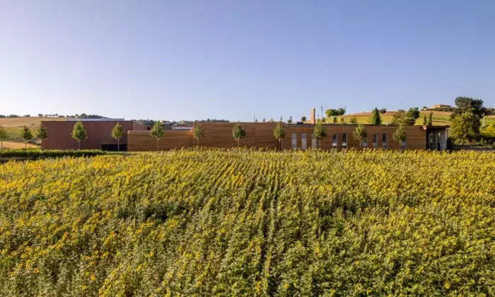 L'Armonia tra Architettura e Natura: L'Ampliamento del Pastificio Agricolo Mancini firmato Stefano Boeri Architetti