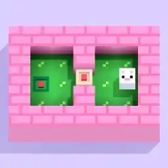 Pushbox